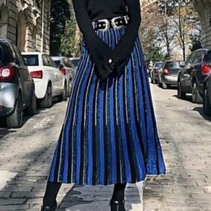 Zara Long Striped Shimmery Maxi Skirt Knit